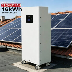 Accumulo di energia solare domestica Batteria al litio LiFePO4 da 51,2 V 314 Ah