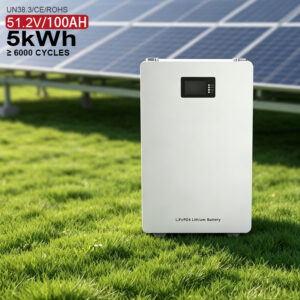 51.2L'accumulatore domestico di energia di V 280Ah 314AH LiFePO4 14.3kwh 16KWH con 200A Smart BMS PUÒ comunicare